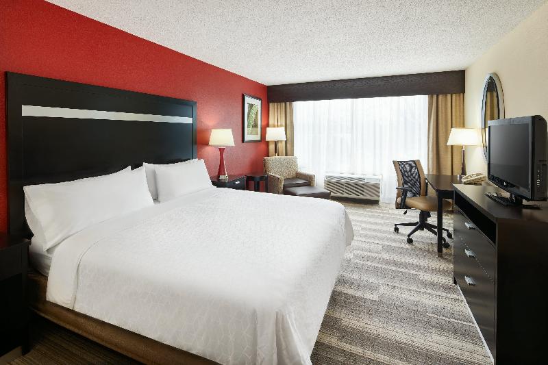 キングサイズベッドのスタンダードルーム, Holiday Inn Express & Suites I 26 & Us 29 At Westgate Mall, An Ihg