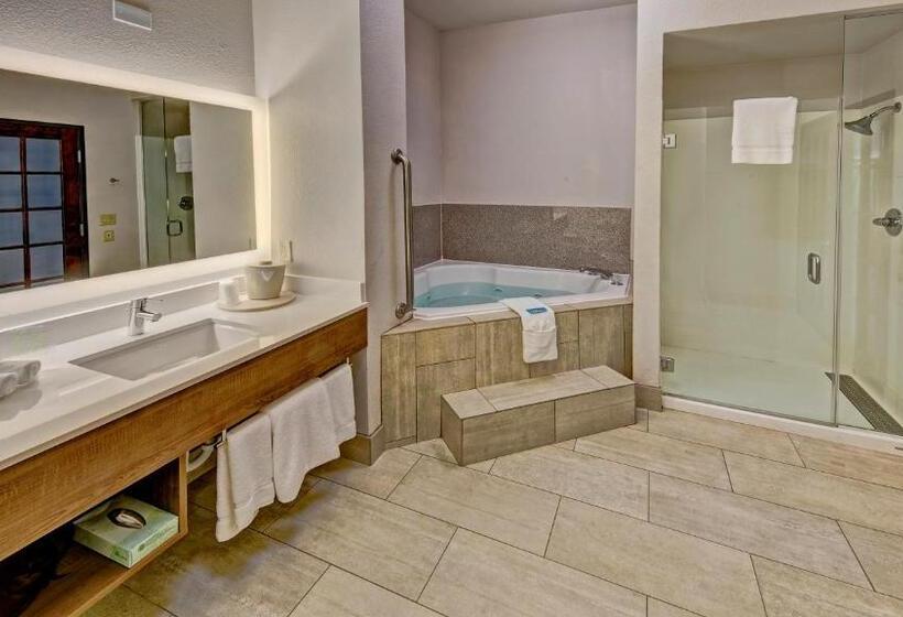 Стандартный Номер Кровать Кинг, Holiday Inn Express Hotel & Suites Corsicana By Ihg