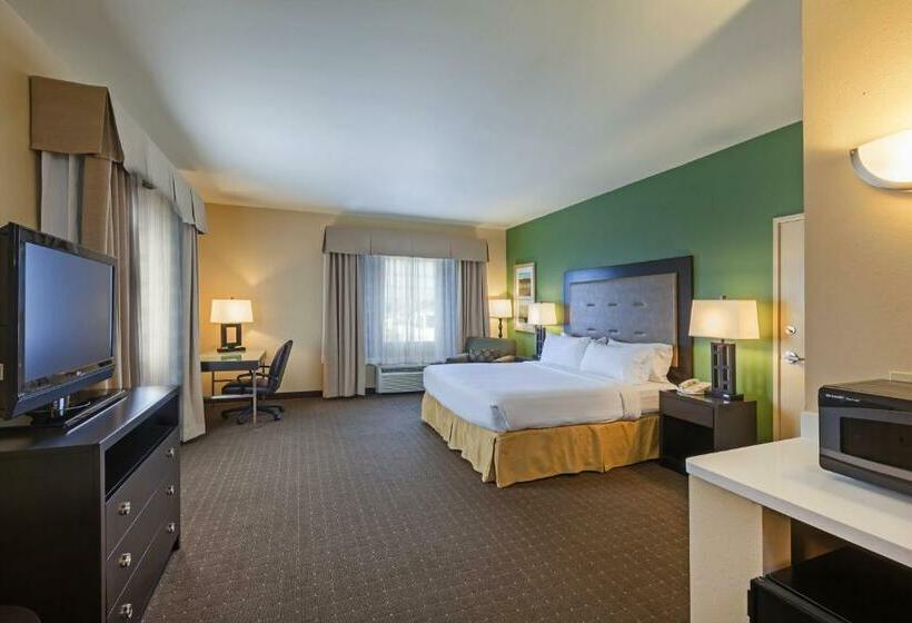Стандартный Номер Кровать Кинг, Holiday Inn Express Hotel & Suites Eagle Pass, An Ihg