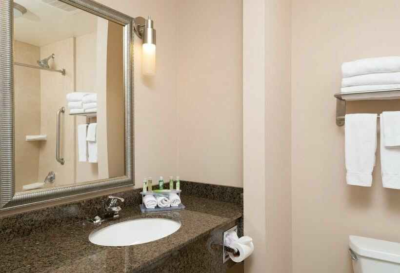 스탠다드 룸, Holiday Inn Express Hotel & Suites North Sequim, An Ihg