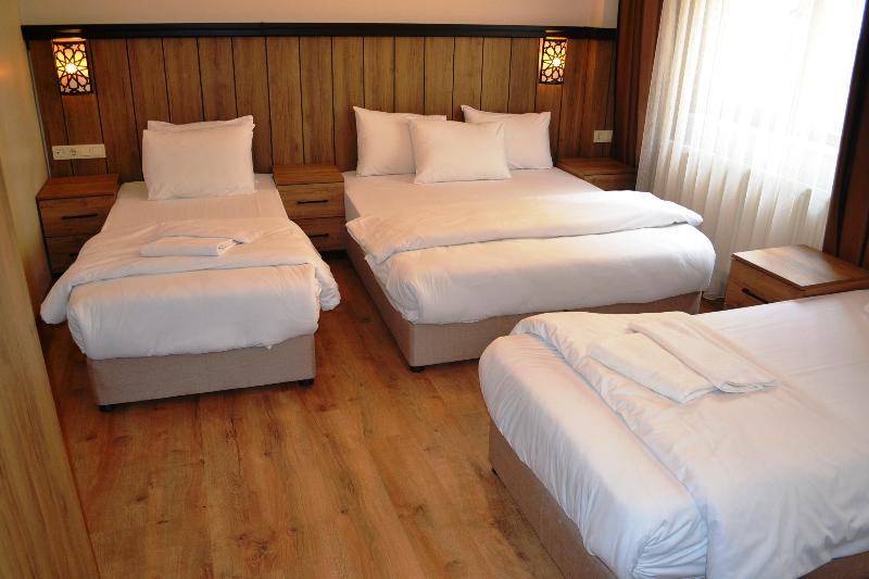 适合残疾人使用的标准间, Garner Hotel Longview South, An Ihg