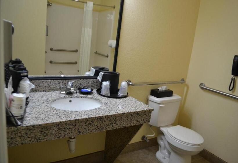 Номер Стандарт Кровать Кинг Адаптированный для Инвалидов, Best Western Sherwood Inn & Suites