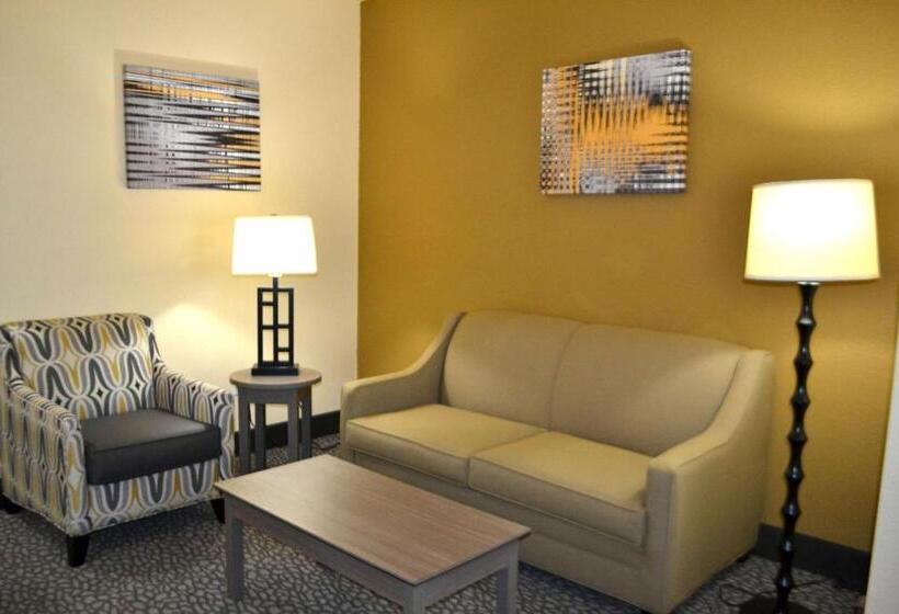 Люкс Кровать Кинг, Best Western Sherwood Inn & Suites