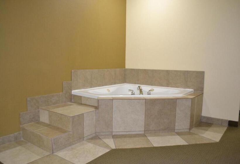 Люкс Кровать Кинг, Best Western Sherwood Inn & Suites