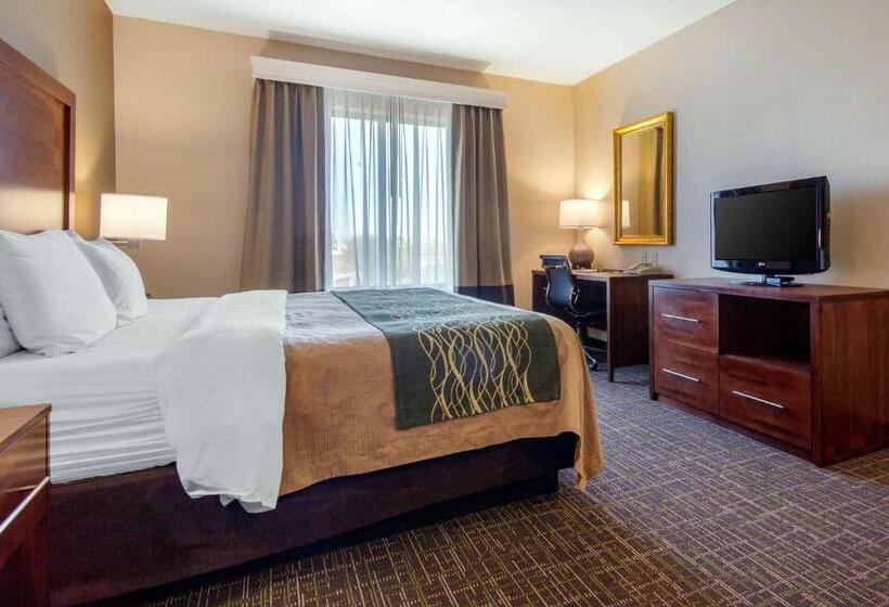 Стандартный Номер Кровать Кинг, Comfort Inn & Suites Norman Near University