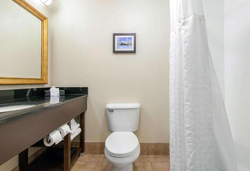 Стандартный Номер Кровать Кинг, Comfort Inn & Suites Norman Near University