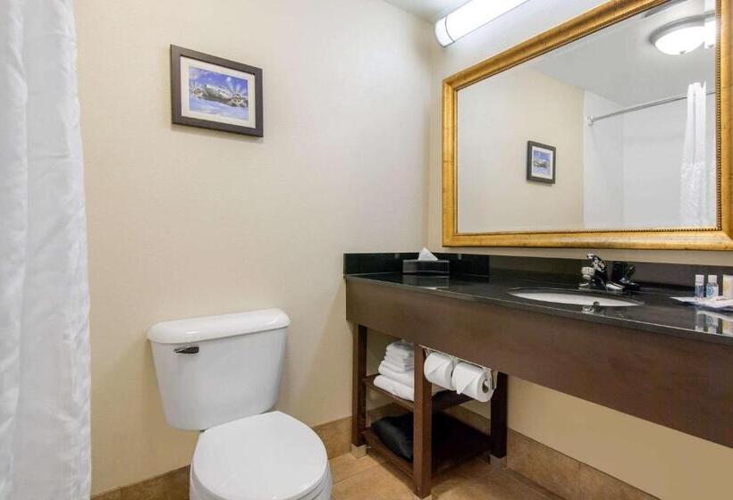Люкс, Comfort Inn & Suites Norman Near University