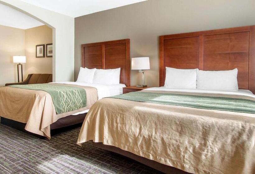 Люкс, Comfort Inn & Suites Norman Near University