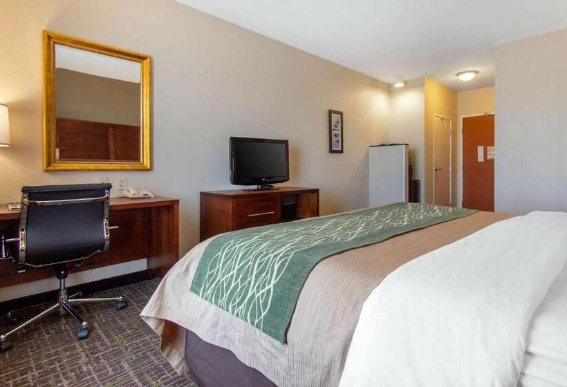 Номер Стандарт Кровать Кинг Адаптированный для Инвалидов, Comfort Inn & Suites Norman Near University