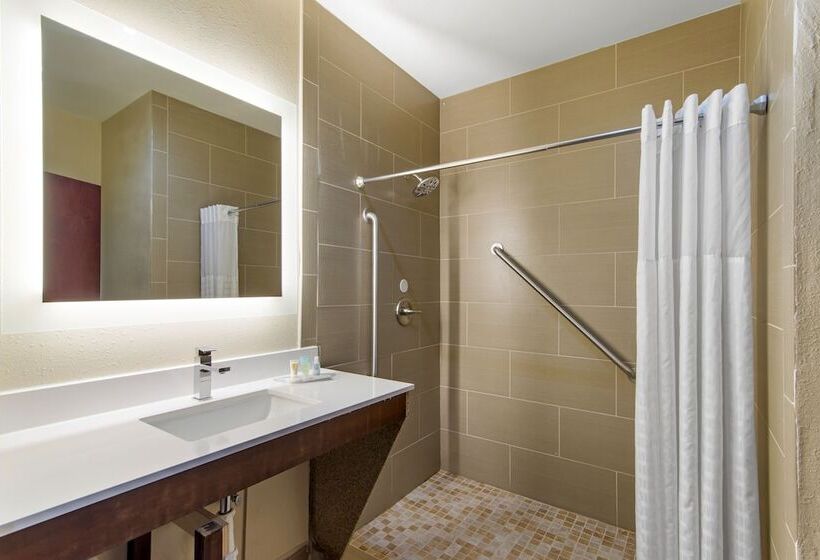 Люкс Адаптированный для Инвалидов, Comfort Suites Locust Grove Atlanta South