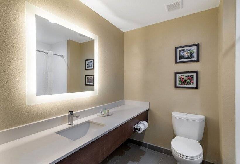 Люкс, Comfort Suites Locust Grove Atlanta South