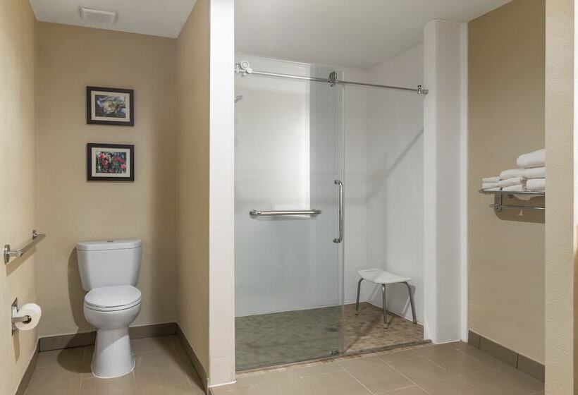 Люкс, Comfort Suites Locust Grove Atlanta South