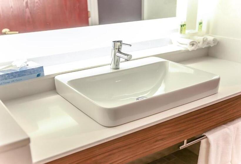 Номер Стандарт Кровать Кинг Адаптированный для Инвалидов, Holiday Inn Express Daytona Beach   Speedway, An Ihg