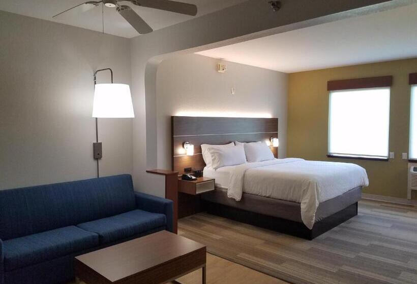 Стандартный Номер Кровать Кинг, Holiday Inn Express Daytona Beach   Speedway, An Ihg