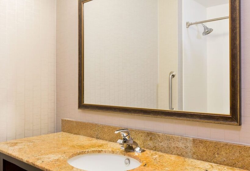 Номер Стандарт, Holiday Inn Express Palestine, An Ihg