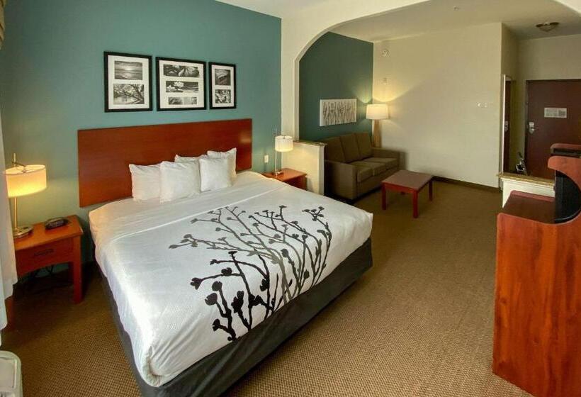 Люкс Deluxe Кровать Кинг, Sleep Inn And Suites Pearland   Houston South