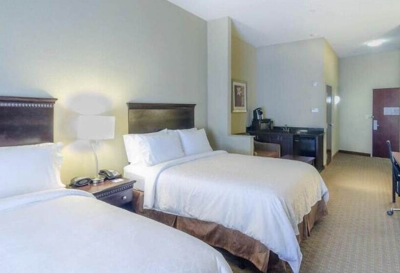 장애인을 위한 스위트, Comfort Suites Mobile South Alabama University Area