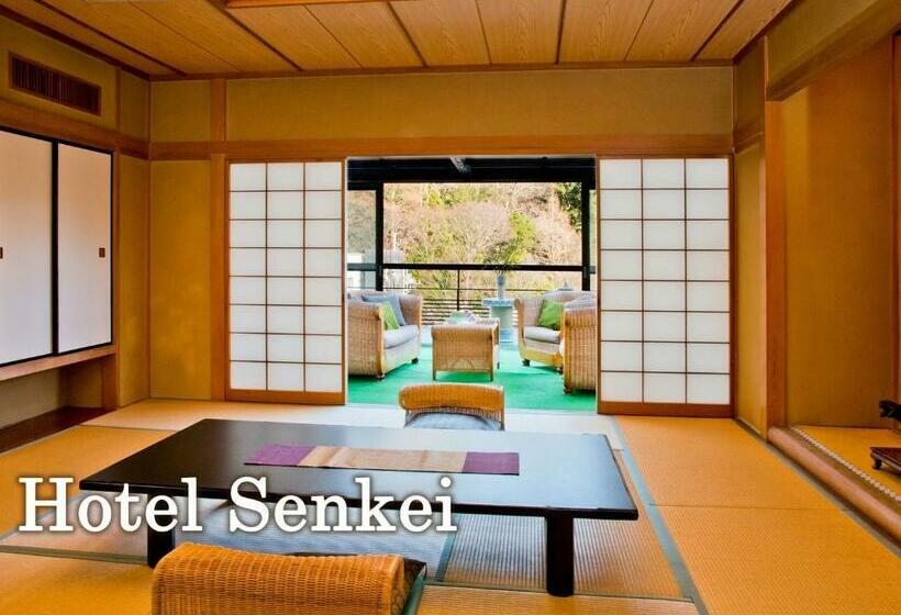 اتاق استاندارد, Senkei