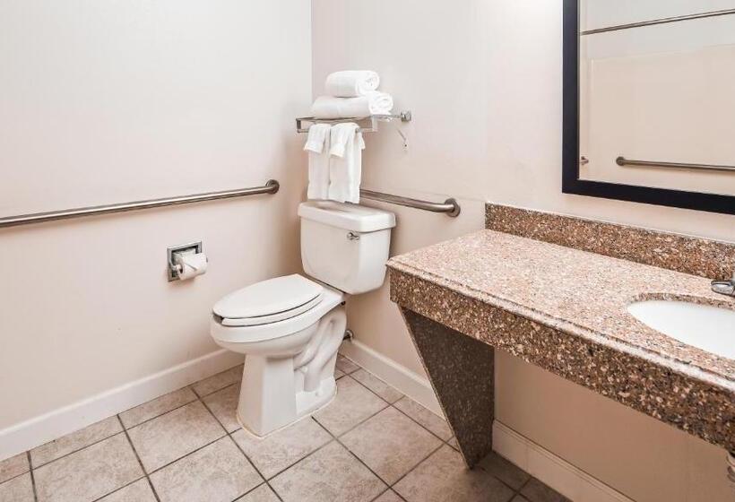 Номер Стандарт Кровать Кинг Адаптированный для Инвалидов, Best Western Inn And Suites Copperas Cove