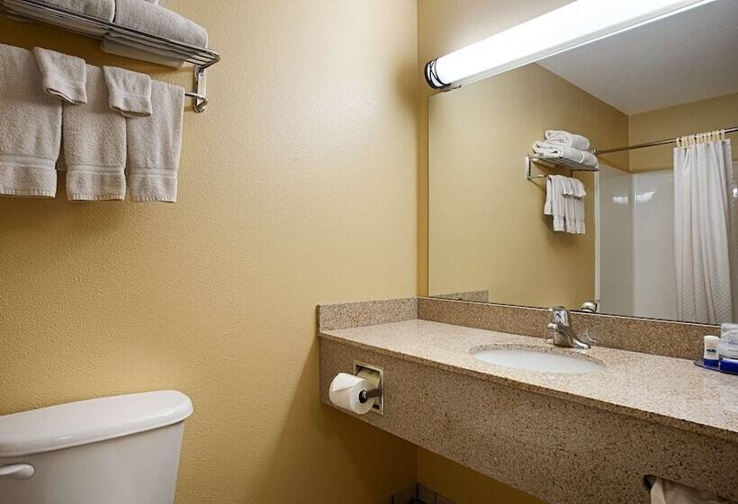 Люкс Адаптированный для Инвалидов, Best Western Penn Ohio Inn & Suites