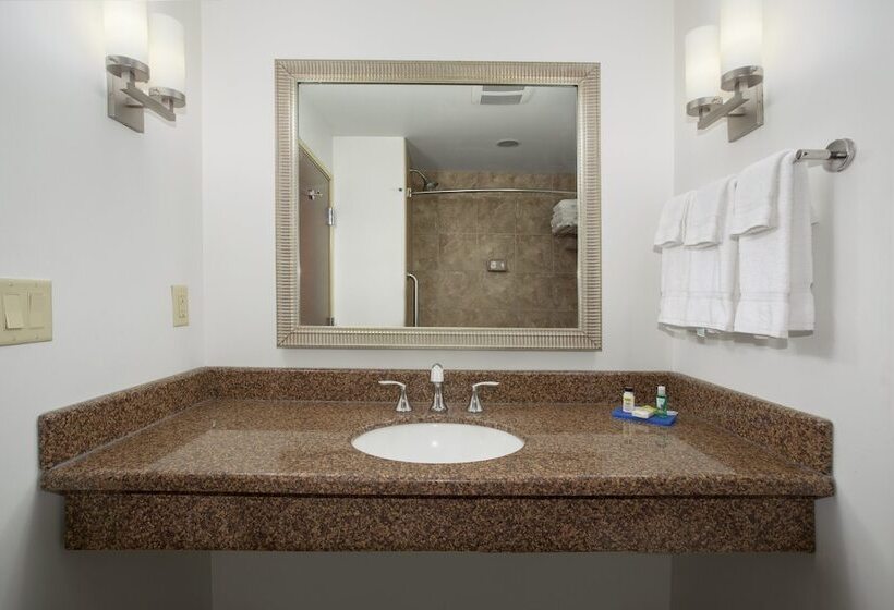 Люкс, Holiday Inn Express Hotel & Suites Lander, An Ihg