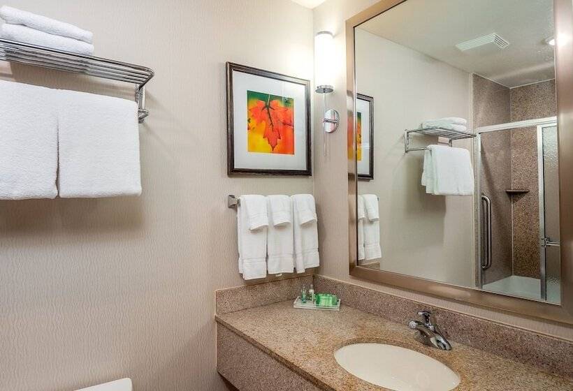 스위트, Holiday Inn Stevens Point   Convention Center, An Ihg