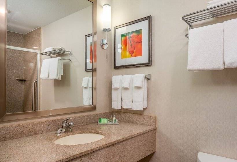 스위트, Holiday Inn Stevens Point   Convention Center, An Ihg