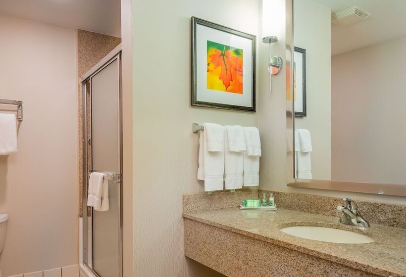 프리미엄 룸, Holiday Inn Stevens Point   Convention Center, An Ihg