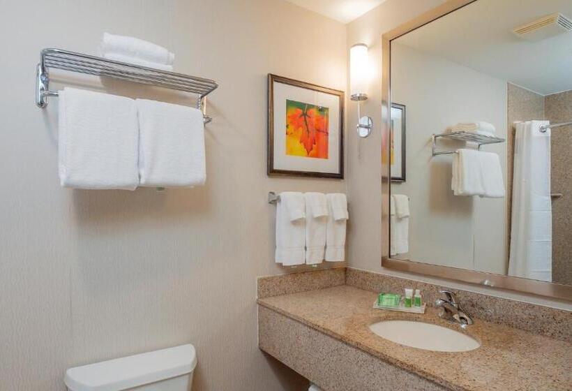 스탠다드 룸, Holiday Inn Stevens Point   Convention Center, An Ihg