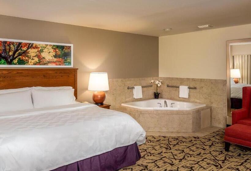 스탠다드 룸 킹사이즈 침대, Holiday Inn Stevens Point   Convention Center, An Ihg
