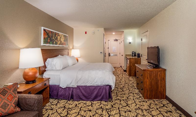 스탠다드 룸 킹사이즈 침대, Holiday Inn Stevens Point   Convention Center, An Ihg