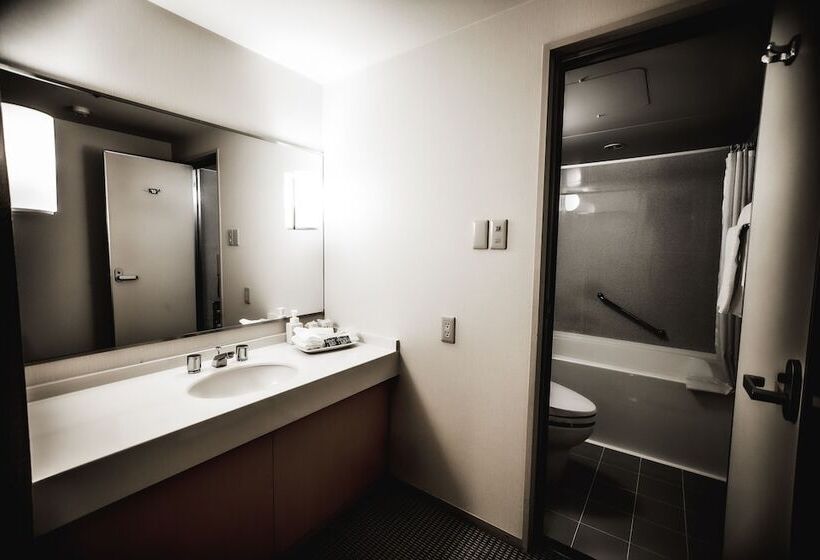Номер Basic, Oarks Canal Park Hotel Toyama