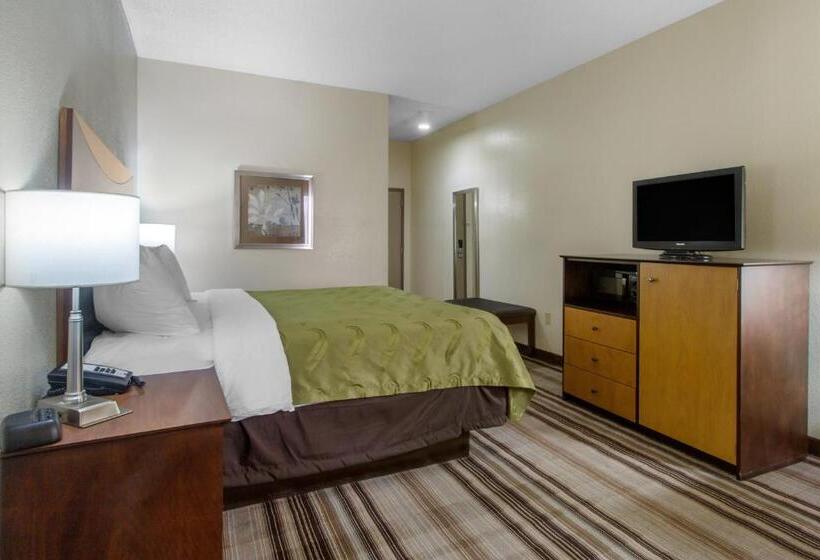 스탠다드 룸 킹사이즈 침대, Quality Inn I81 Exit 23