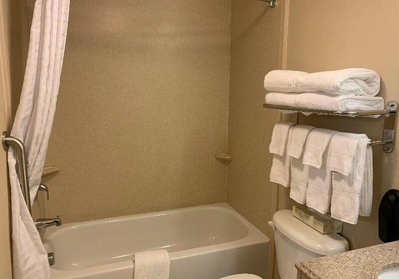 스위트, Candlewood Suites Wilson, An Ihg