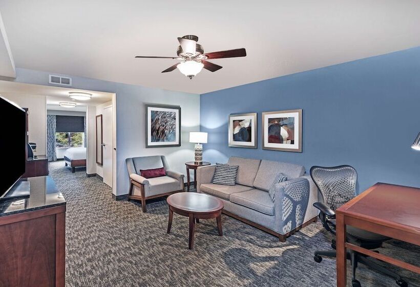 小型套房, Hilton Garden Inn Aiken