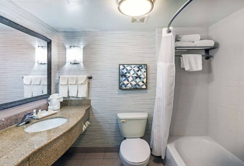 标准间, Hilton Garden Inn Aiken