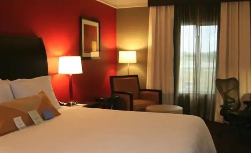 스탠다드 룸 킹사이즈 침대, Hilton Garden Inn Oxford/anniston