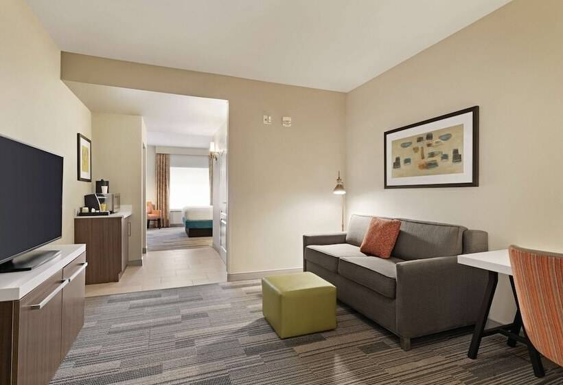 장애인을 위한 스탠다드 룸, Hilton Garden Inn Oxford/anniston