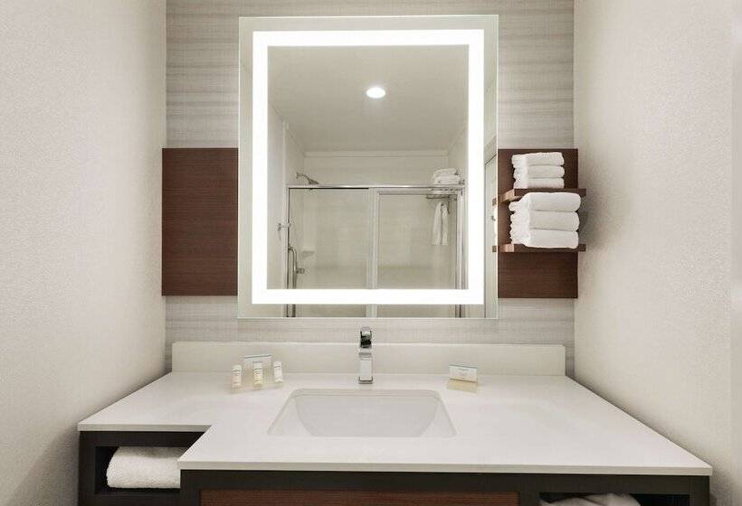 장애인을 위한 스탠다드 룸, Hilton Garden Inn Oxford/anniston