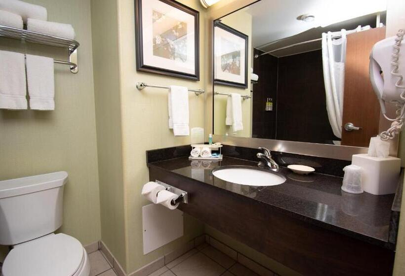 Quarto Estandar, Holiday Inn Express And Suites Dawson Creek, An Ihg