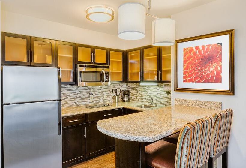 스탠다드 스튜디오, Staybridge Suites Bismarck, An Ihg