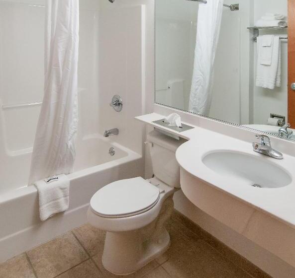 스탠다드 룸, Microtel Inn & Suites Beckley East