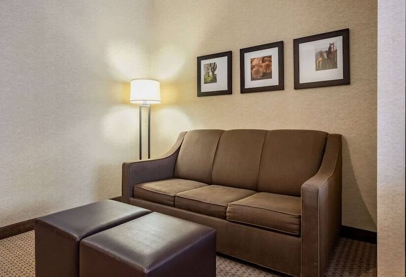 스위트, Comfort Suites Hotel And Conference Center