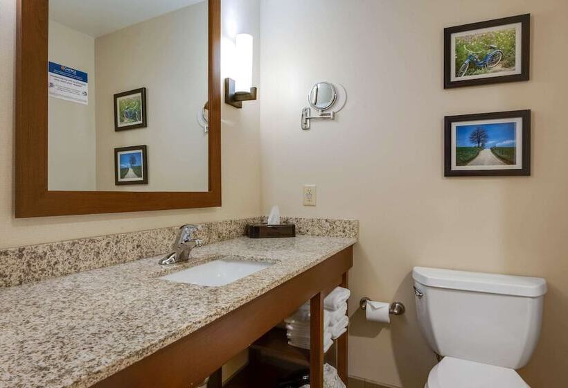 주니어 스위트, Comfort Suites Hotel And Conference Center