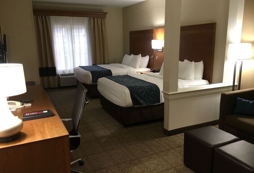 스위트, Comfort Suites Hotel And Conference Center