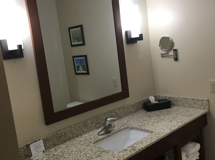 스위트, Comfort Suites Hotel And Conference Center