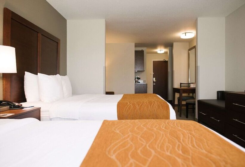 Люкс, Comfort Inn & Suites