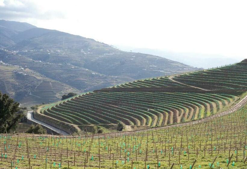Номер Superior, Douro Scala