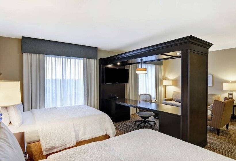 חדר סטודיו סטנדרד, Hampton Inn & Suites Denver/airportgateway Park