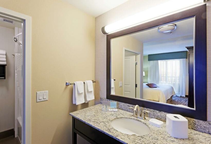 장애인을 위한 스탠다드 룸, Hampton Inn & Suites Denver/airportgateway Park